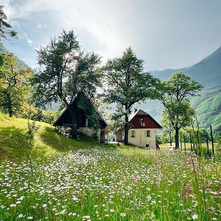 Apartments Mala Korita Soce Soča المظهر الخارجي الصورة