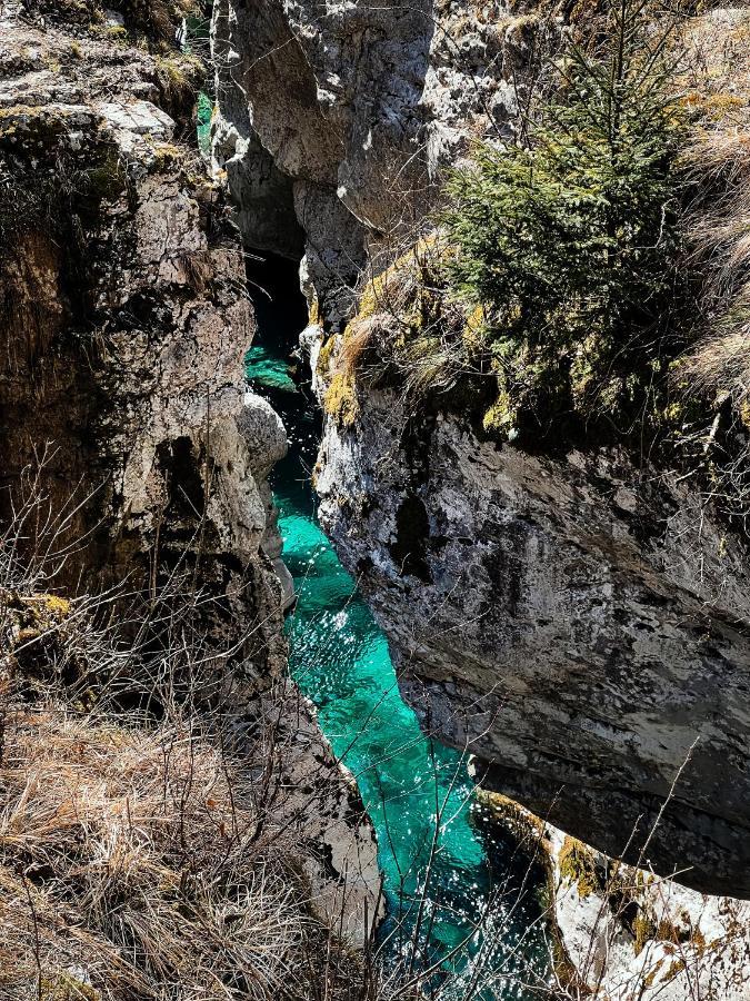 Apartments Mala Korita Soce Soča المظهر الخارجي الصورة