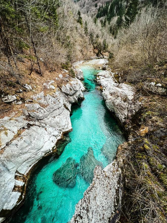 Apartments Mala Korita Soce Soča المظهر الخارجي الصورة