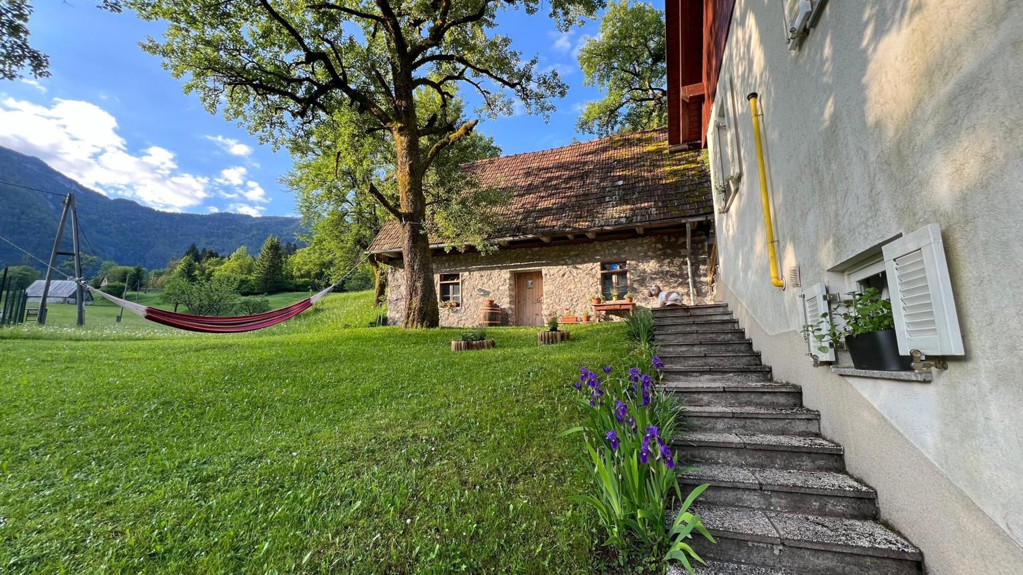 Apartments Mala Korita Soce Soča المظهر الخارجي الصورة