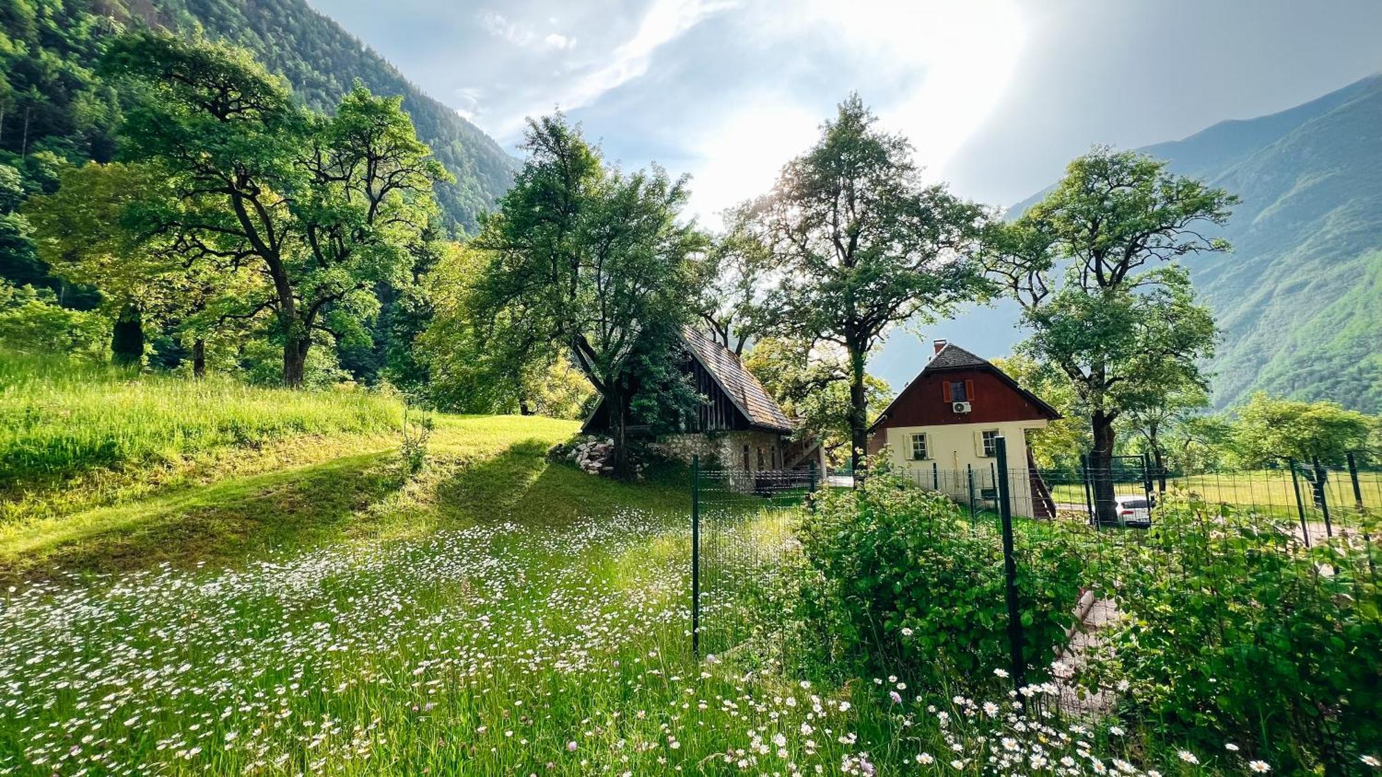 Apartments Mala Korita Soce Soča المظهر الخارجي الصورة