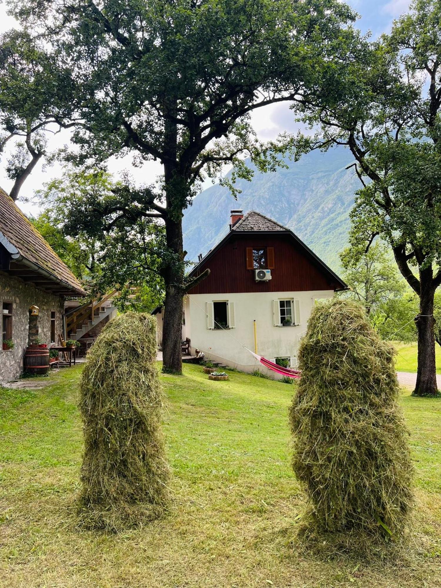 Apartments Mala Korita Soce Soča المظهر الخارجي الصورة
