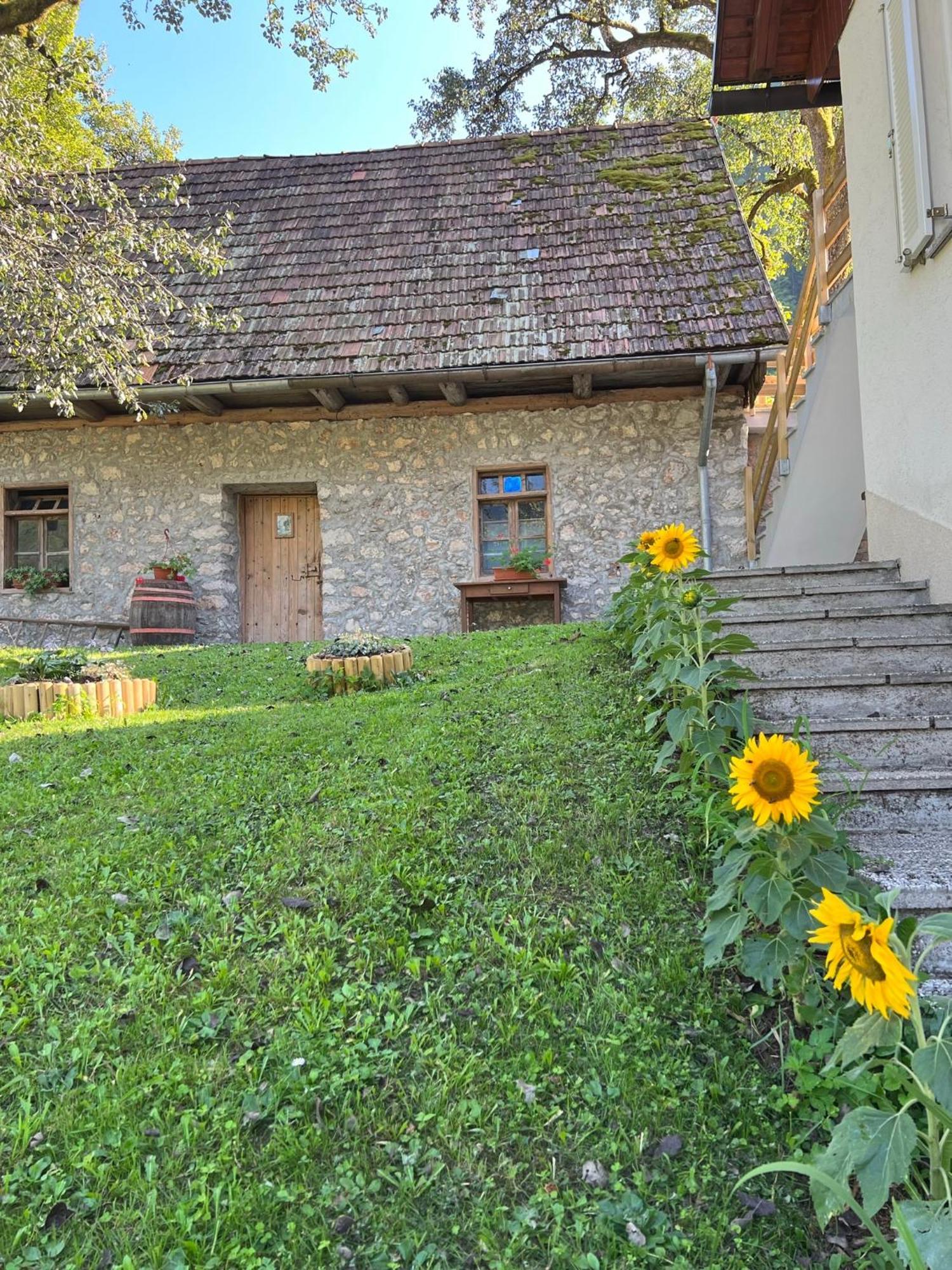 Apartments Mala Korita Soce Soča المظهر الخارجي الصورة