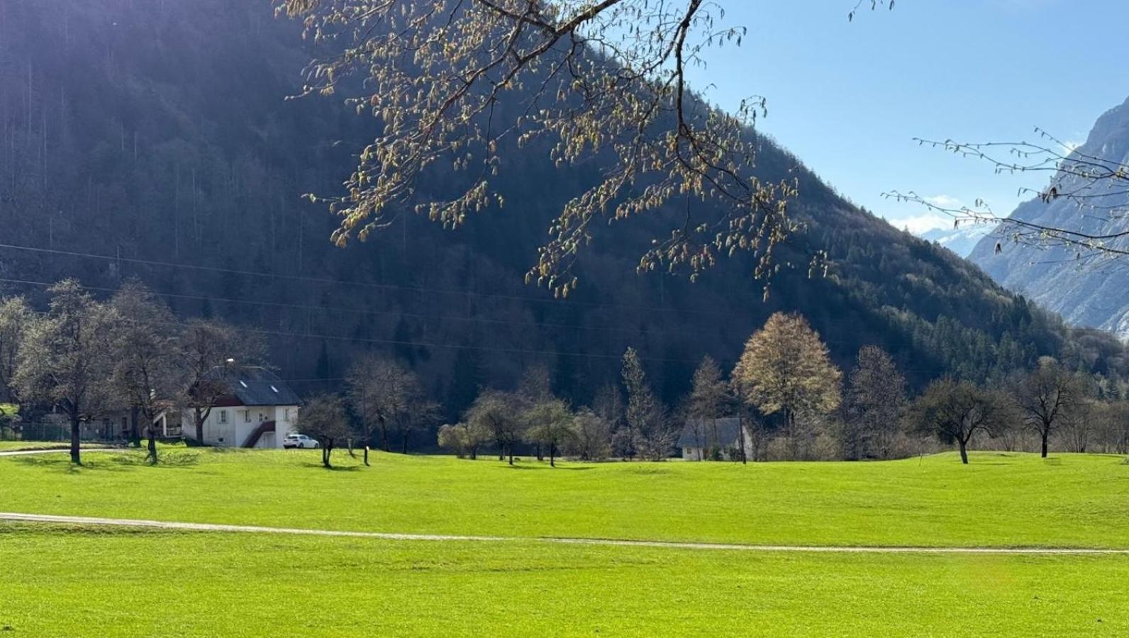 Apartments Mala Korita Soce Soča المظهر الخارجي الصورة